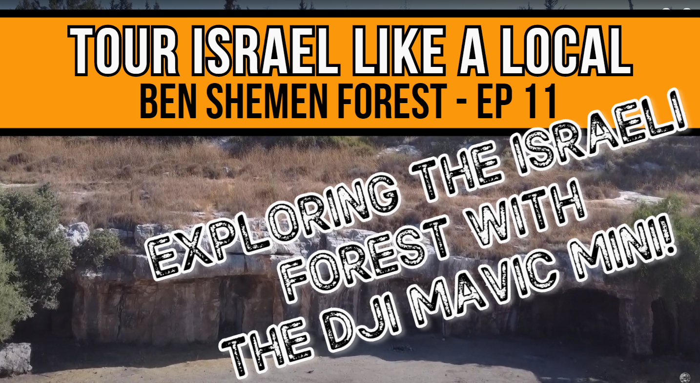 Exploring Ben Shemen Forest
