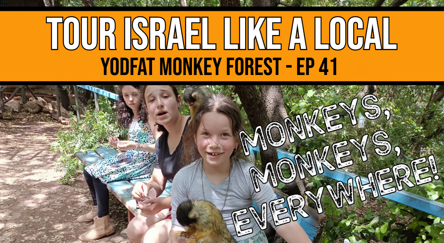 Monkey Forest Thumbnail